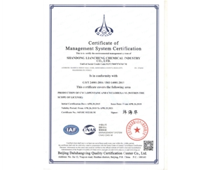 质量体系认证证书 (2)